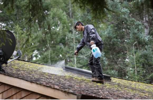 moss roof cleaning port st lucie
